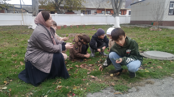 Как собирать травы из гербария.